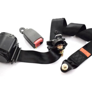 3-Point Seat Belt
